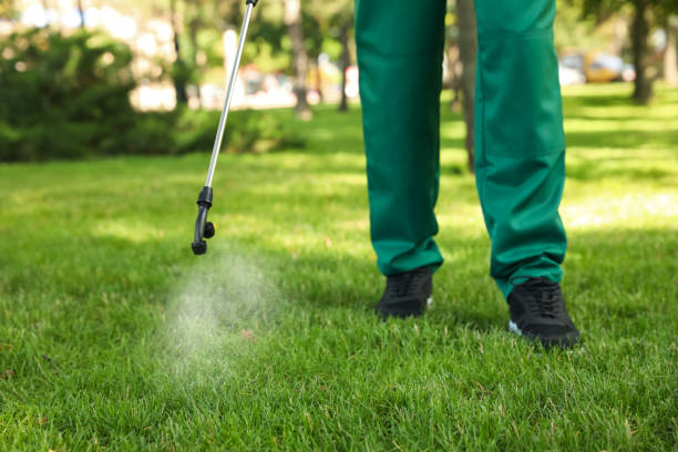 Best Cockroach Control Services  in Malakoff, TX