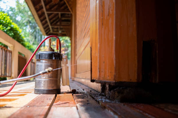 Pest Prevention Services in Malakoff, TX