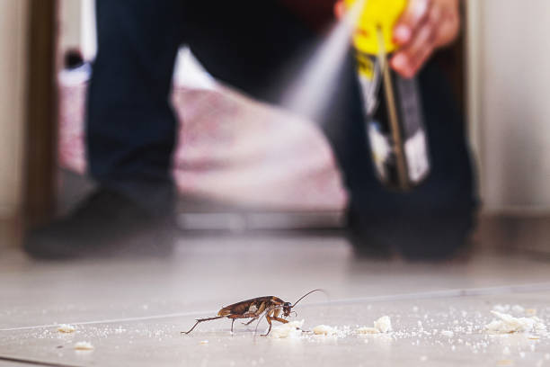 Best Cockroach Control Services  in Malakoff, TX